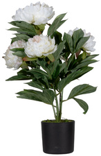 Plante artificielle "pivoine", blanc
