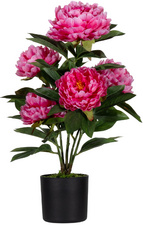 Plante artificielle "pivoine", rose