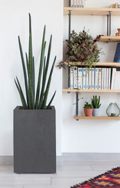   Visuel de référence : montre le produit en utilisation