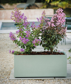 Visuel de référence : montre le produit en utilisation