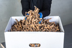 Detailansicht: ecoChips