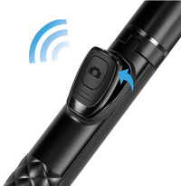 Fernbedienung abnehmbar