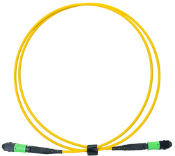 Symbolbild: MPO Patchkabel, 12 Fasern, Singlemode, OS2