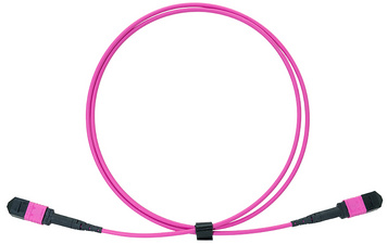 Symbolbild: MPO Patchkabel, 12 Fasern, Multimode, OM4