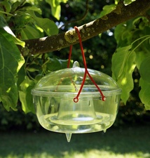 Visuel de référence : montre le produit en utilisation