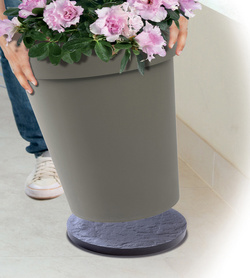 Visuel de référence : montre le produit en utilisation