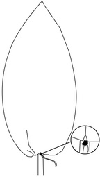 Visuel de référence : montre la couverture avec le cordon