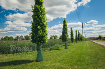 Visuel de référence : montre le produit en utilisation