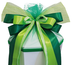 Schultütenschleife "Green Magic"