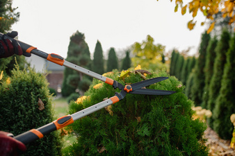 Symbolbild: zeigt das Produkt in der Anwendung