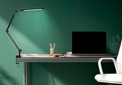 Visuel de référence : montre le produit en utilisation