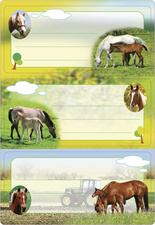 Chevaux II, pailleté