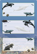 Dauphins II, pailleté