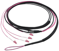  LWL Trunkkabel U-DQ(ZN)BH, 10 m