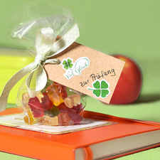 Visuel de référence : montre le produit en utilisation