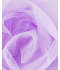 Visuel de référence : tissu de tulle fin